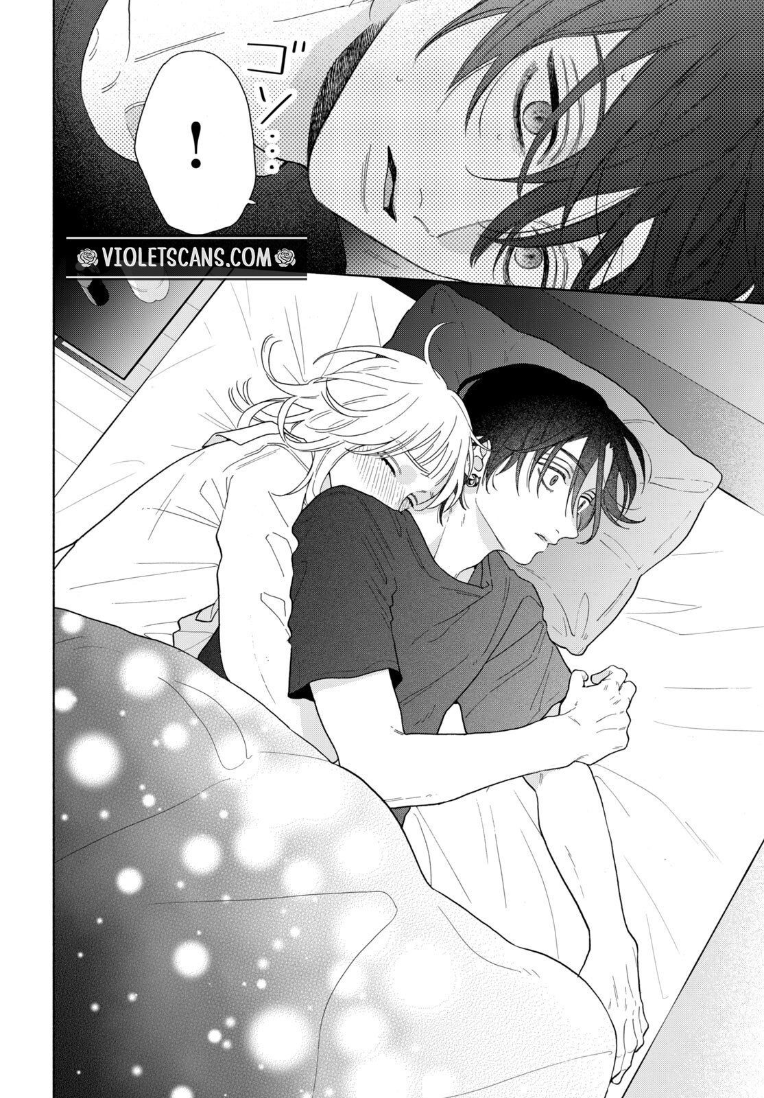 4.3 (06)